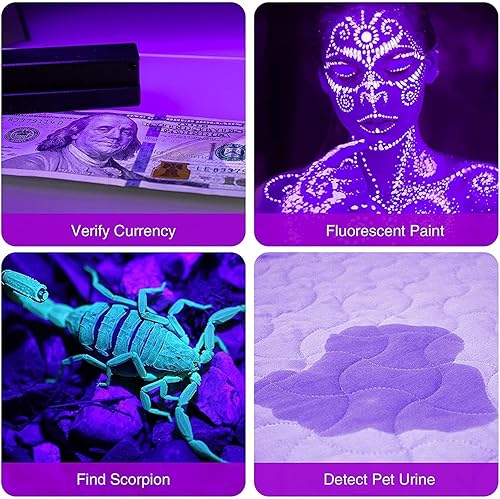 Miniatura 3 de COSOOS Paquete de 2 linternas de luz negra, 12 luces LED pequeñas UV de 395 nm, luz detector de orina de mano para perros y gatos, manchas secas,