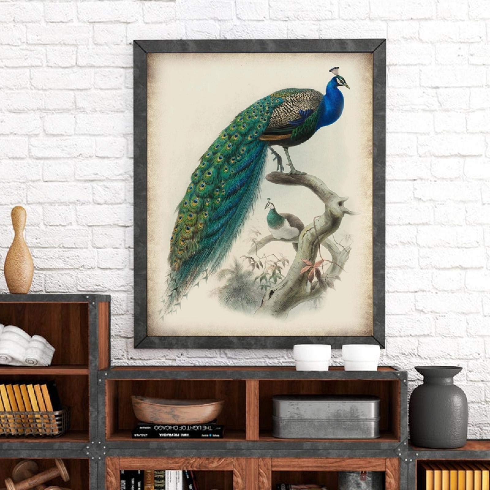 Amazon.co.jp: 壁アート美しい孔雀鳥イラストプリントヴィンテージ 