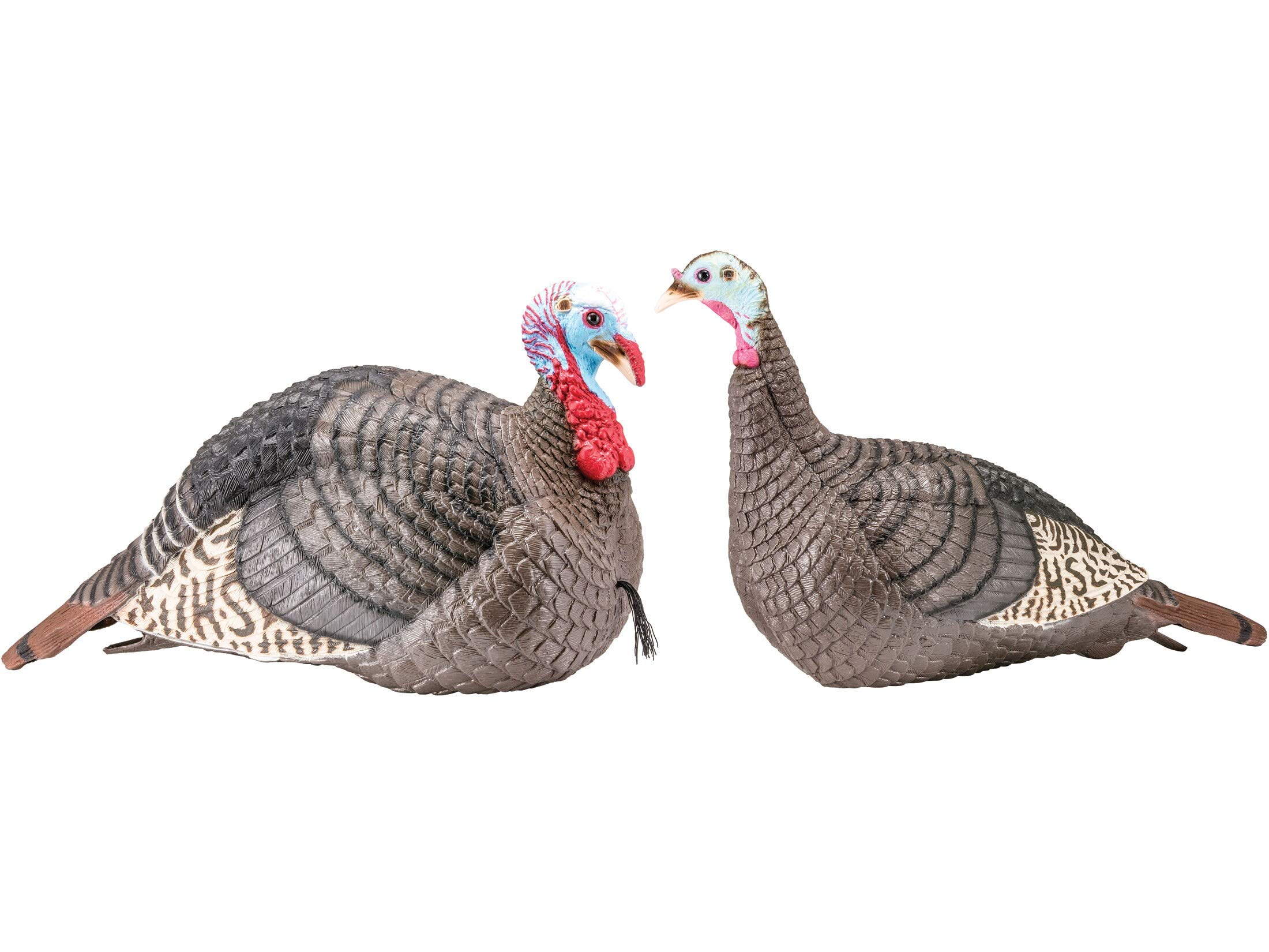 H.S. STRUT Strut-Lite Jake & Hen Turkey Decoy Combo