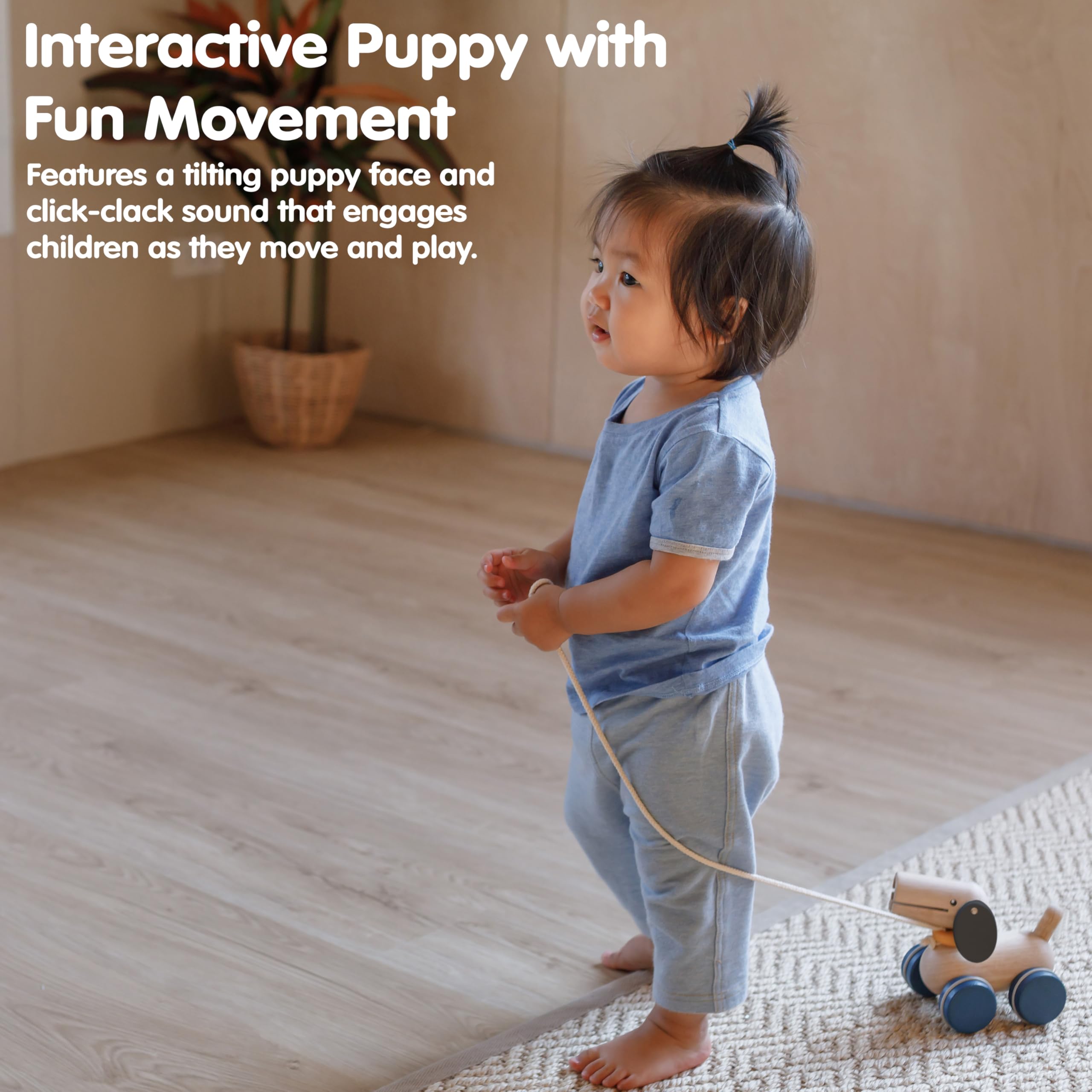 PlanToys Jouet à Tirer et Pousser Chien - Jouet à Pousser et à Tirer 3-en-1 en Bois - Jouet à Tirer Chien 1+ An