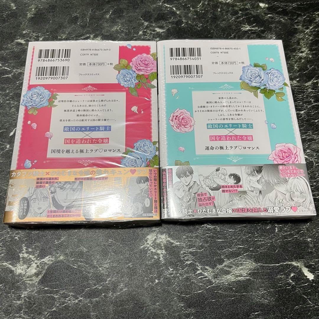 召使い令嬢は国境を越え、敵国の公爵騎士様に溺愛される 初版 セット