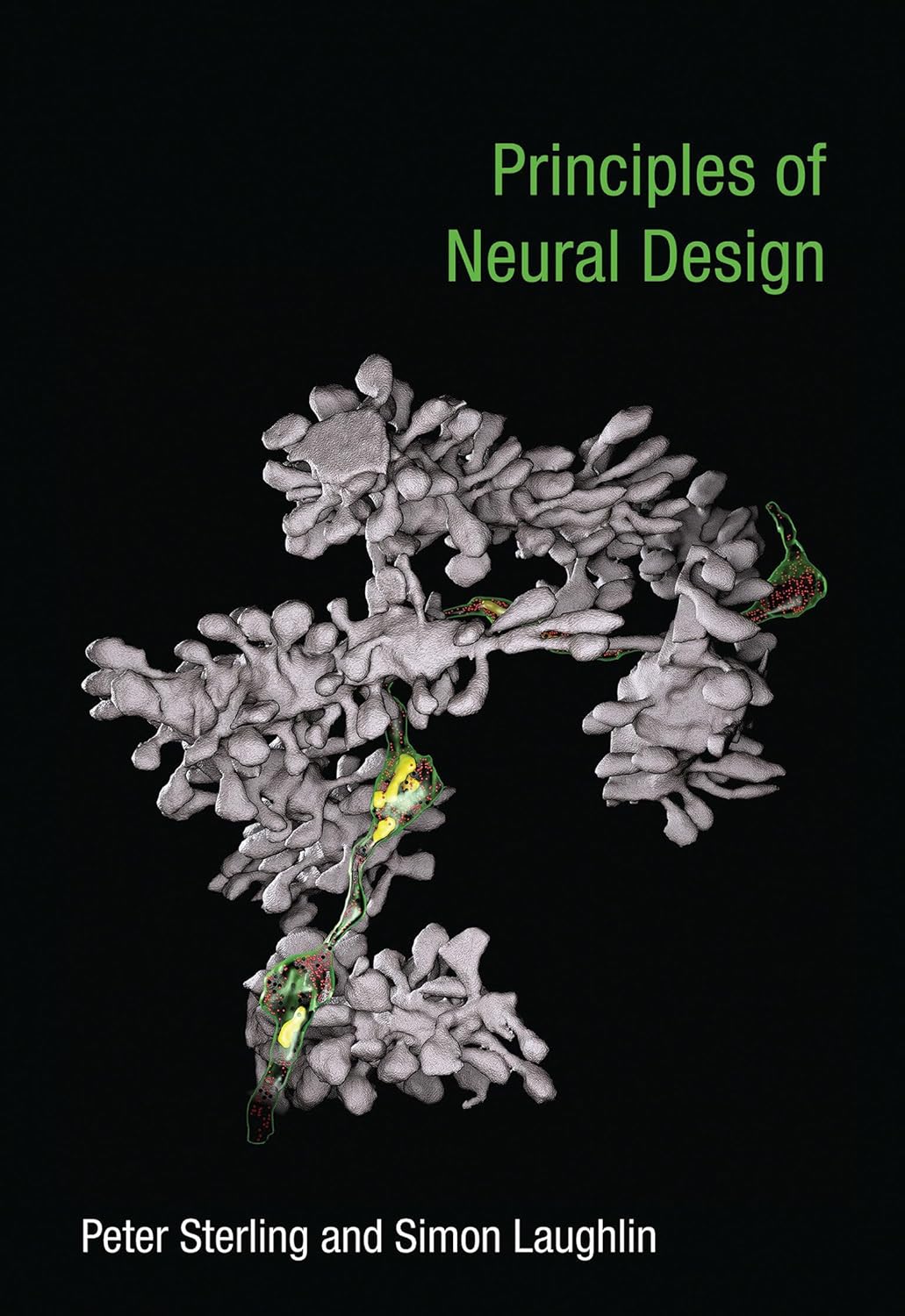 Principles of Neural Design (Mit Press) Sterling, Peter, Laughlin, Simon 9780262534680 Amazon