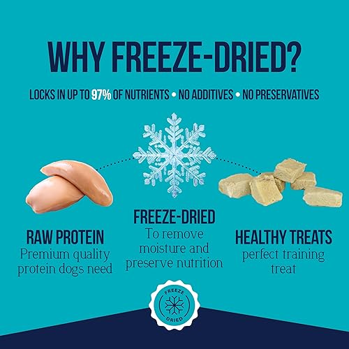 Miniatura 4 de Stewart Freeze Dried Dog Treats Healthy Natural Single Ingredient Grain Free Dog Treat Beef Liver Chicken Liver Chicken Breast Salmon Treats for