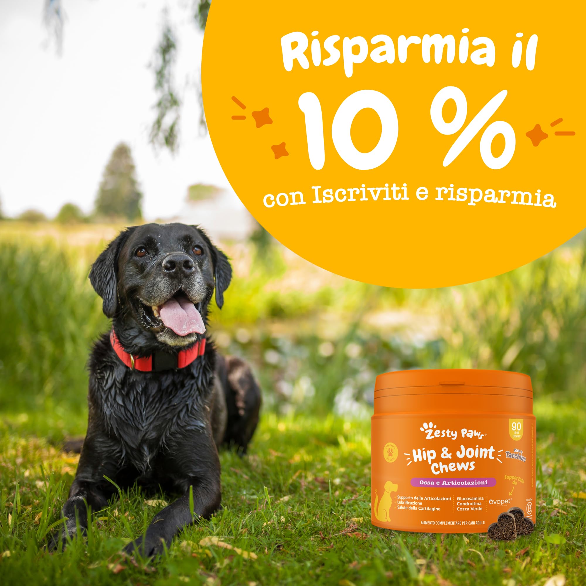 Zesty Paws Hip & Joint per Cani – Supporto Mobilità, Flessibilità Articolare, Articolazioni Rigide e Cartilagine – con Glucosamina, Condroitina e Cozza Verde – 90 Bocconcini