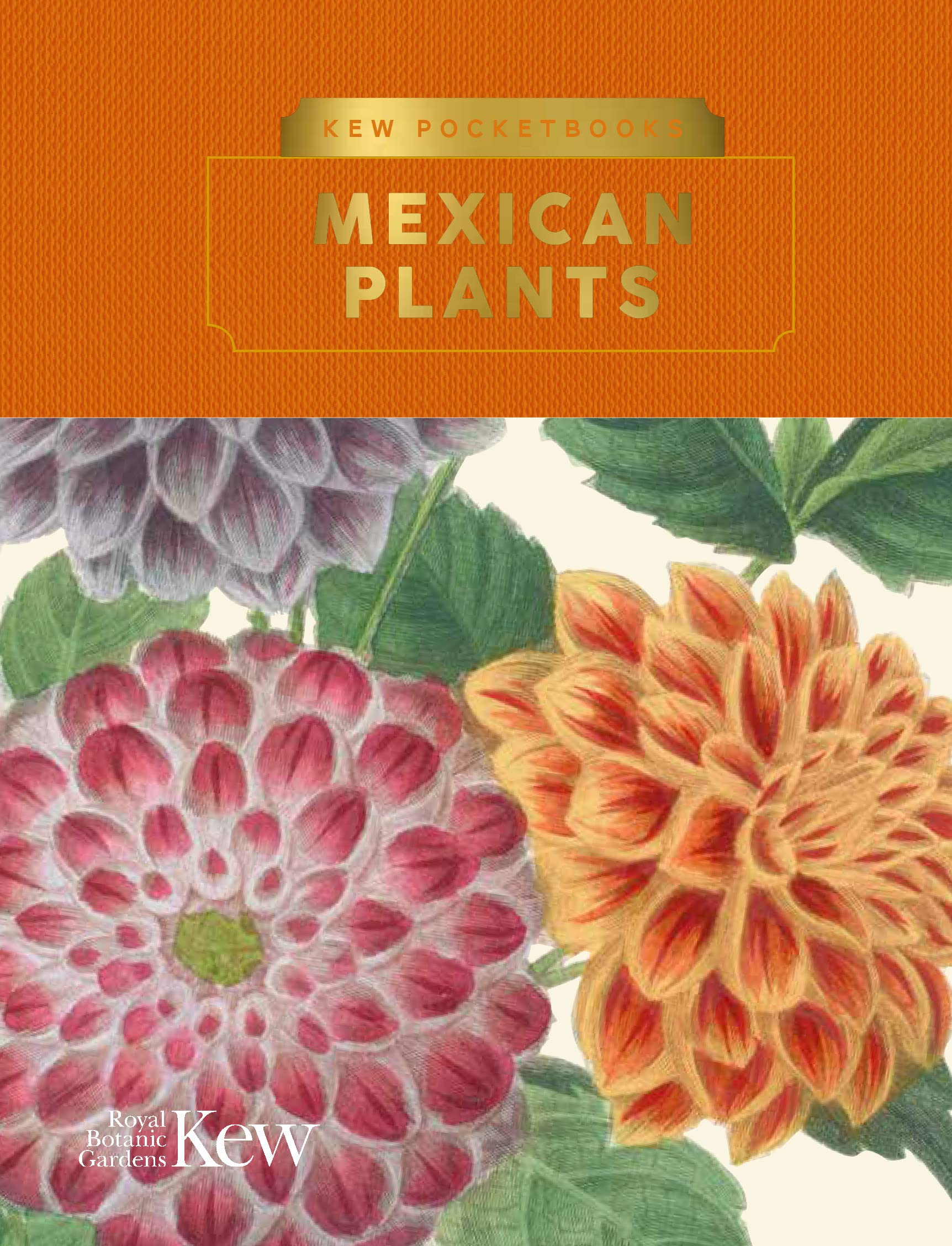 Kew Pocketbooks Mexican Plants