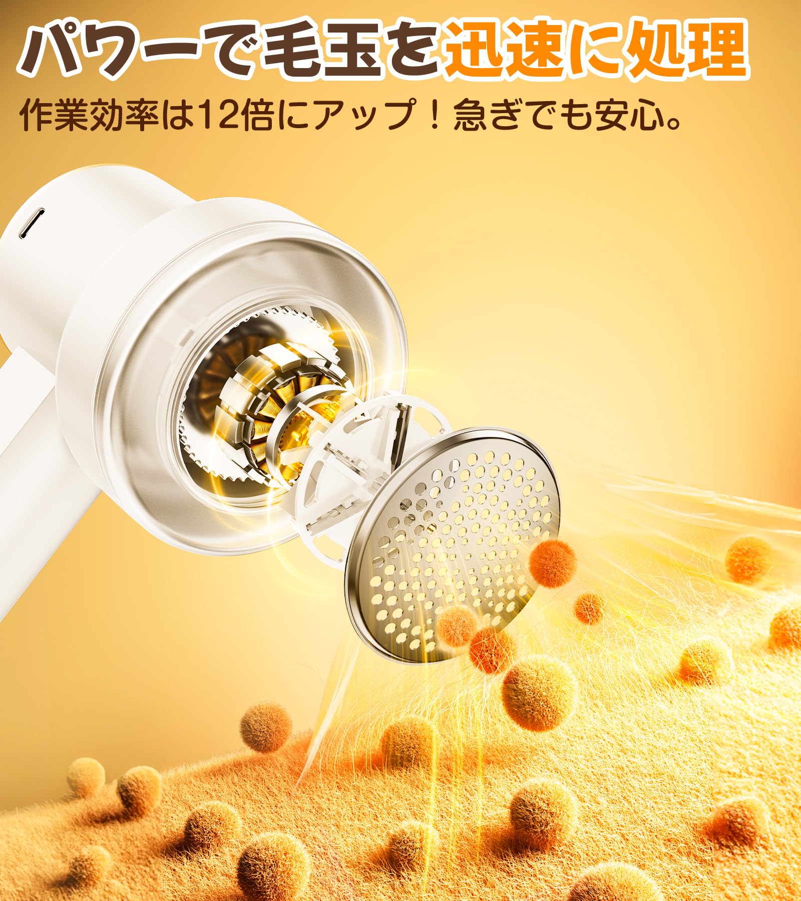 毛とり 20220823183333_7_1.jpg