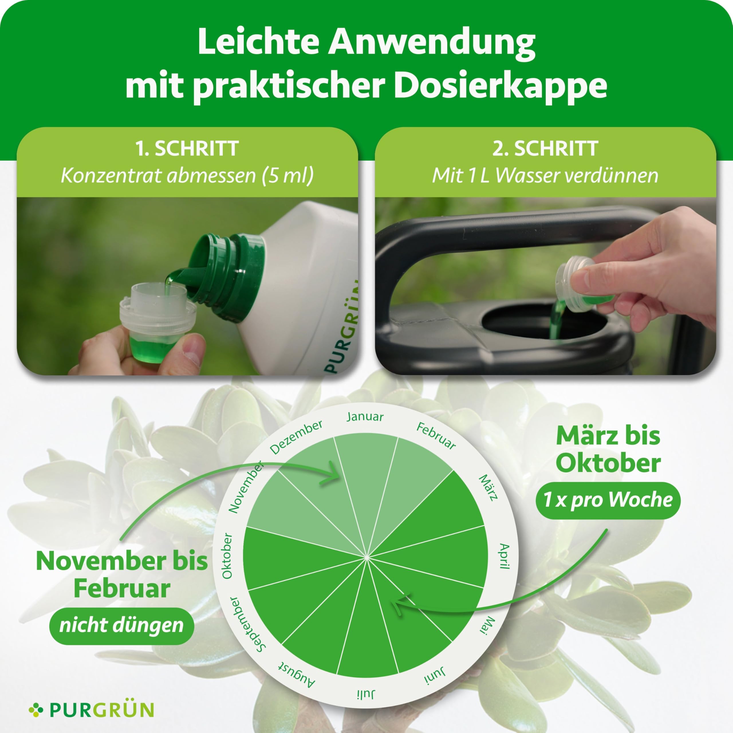 Geldbaum-Dünger 1 Liter – Spurennährstoffe für gesundes Wachstum – Extra Kalium fördert die Widerstandskraft – Ergiebiges Konzentrat für 400 Liter Gießwasser – Premium-Flüssigdünger