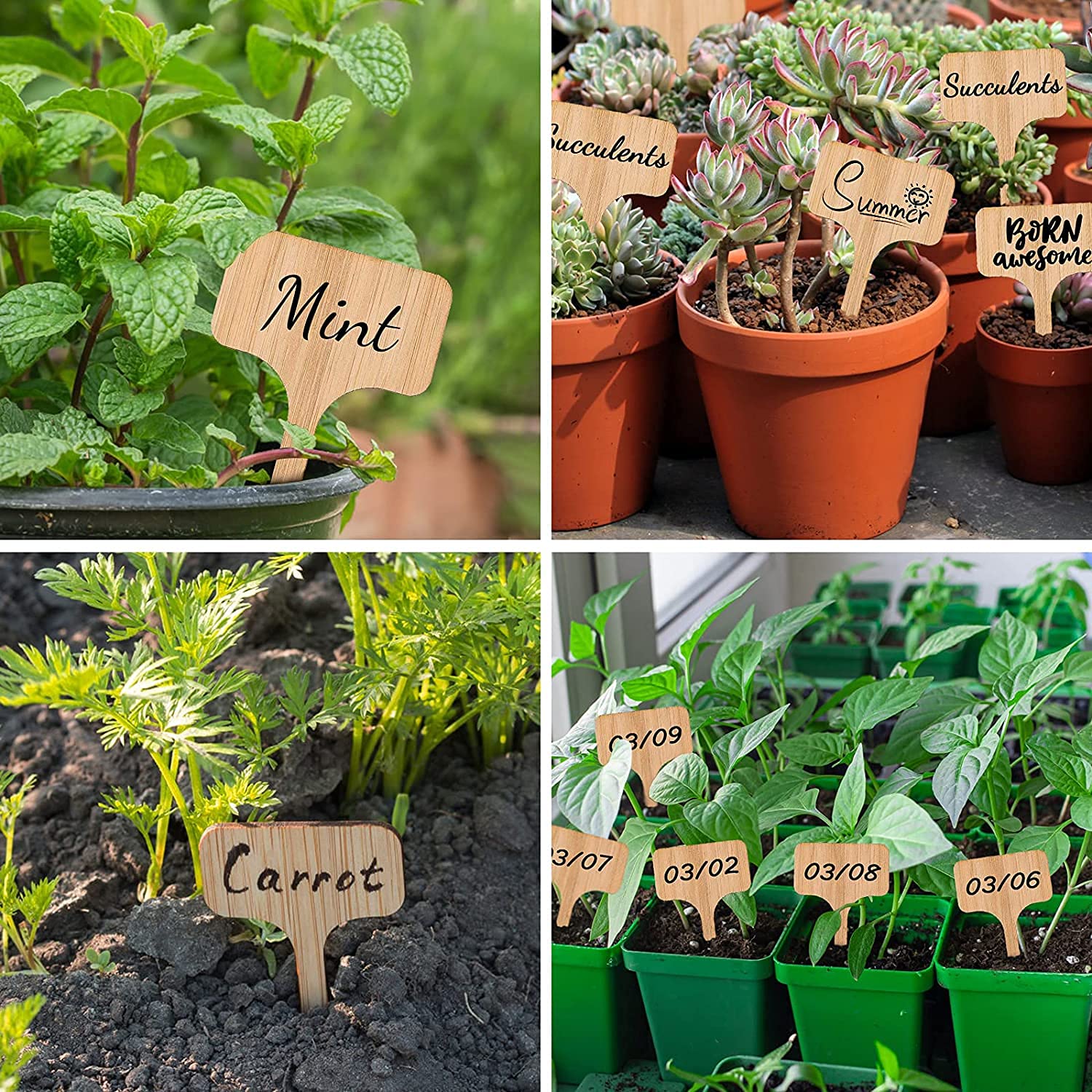 60 Étiquettes Plantes Type T - 6x10cm, Imperméables, Réutilisables - Pour Potager, Semis, Jardin - Blanc