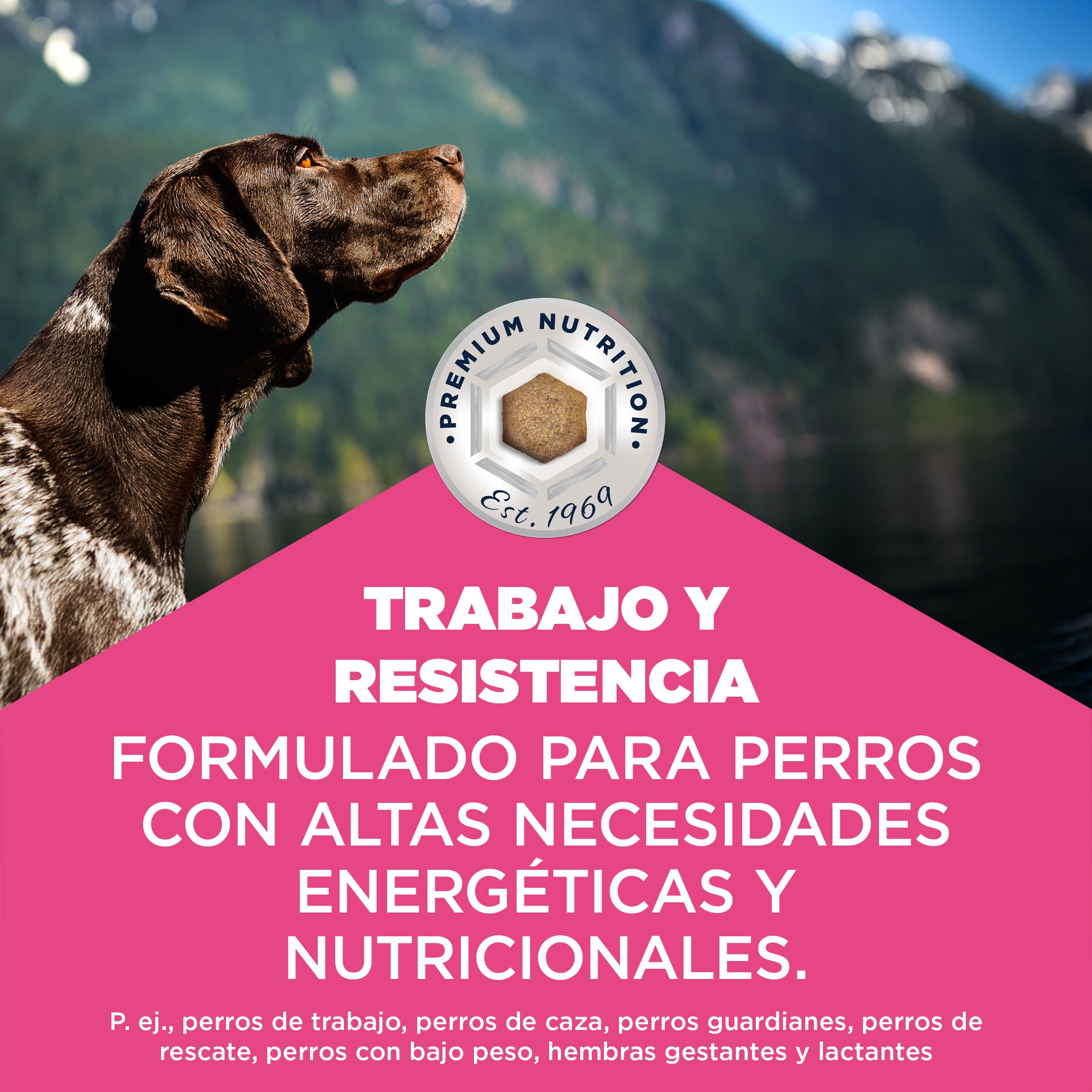 EUKANUBA Working & Endurance - Alimento para Perros con Pollo Fresco - Alimento seco energético Special Care para Perros de Trabajo, Perros de Caza así como Perras gestantes y Lactantes, 15 kg