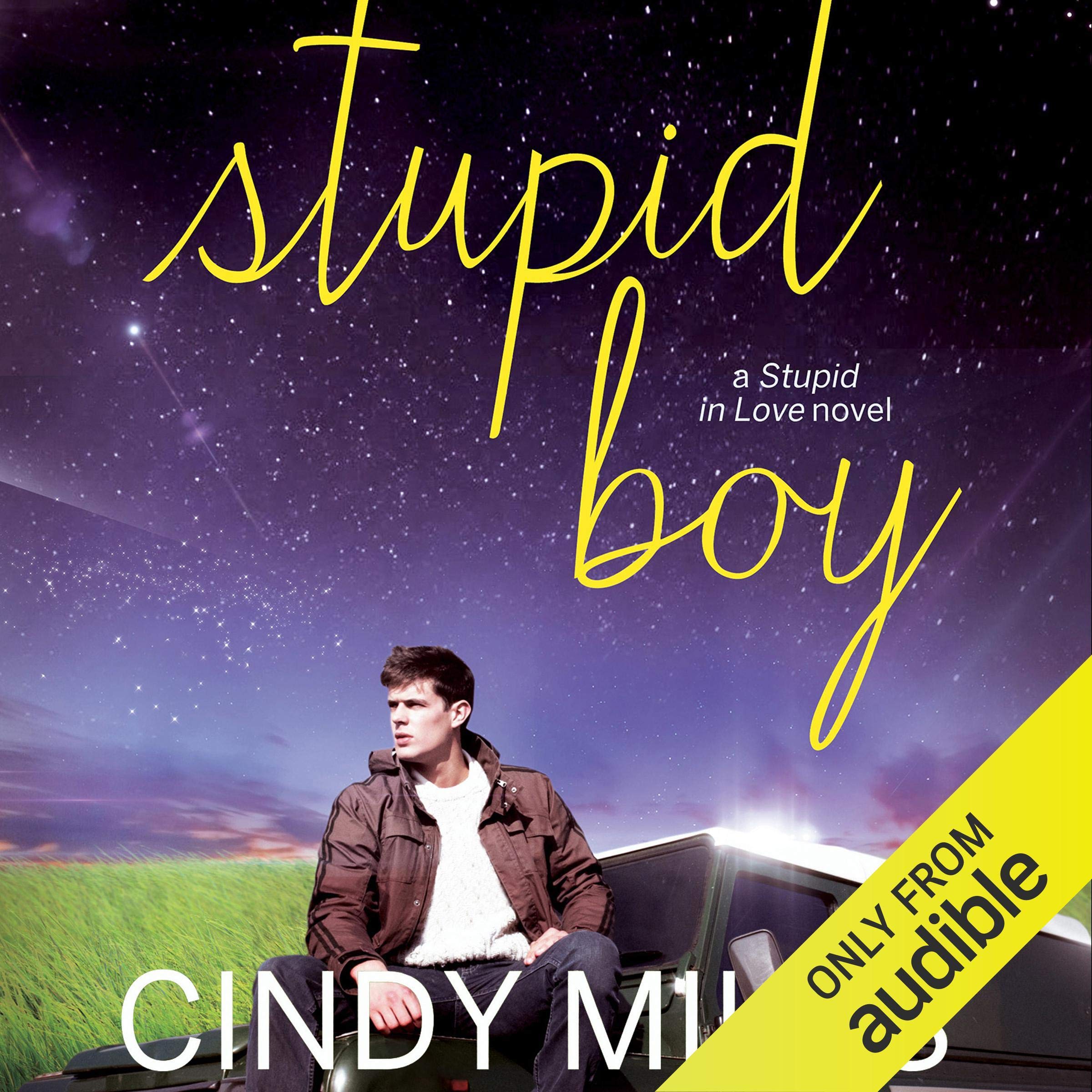 Cover art for Stupid Boy