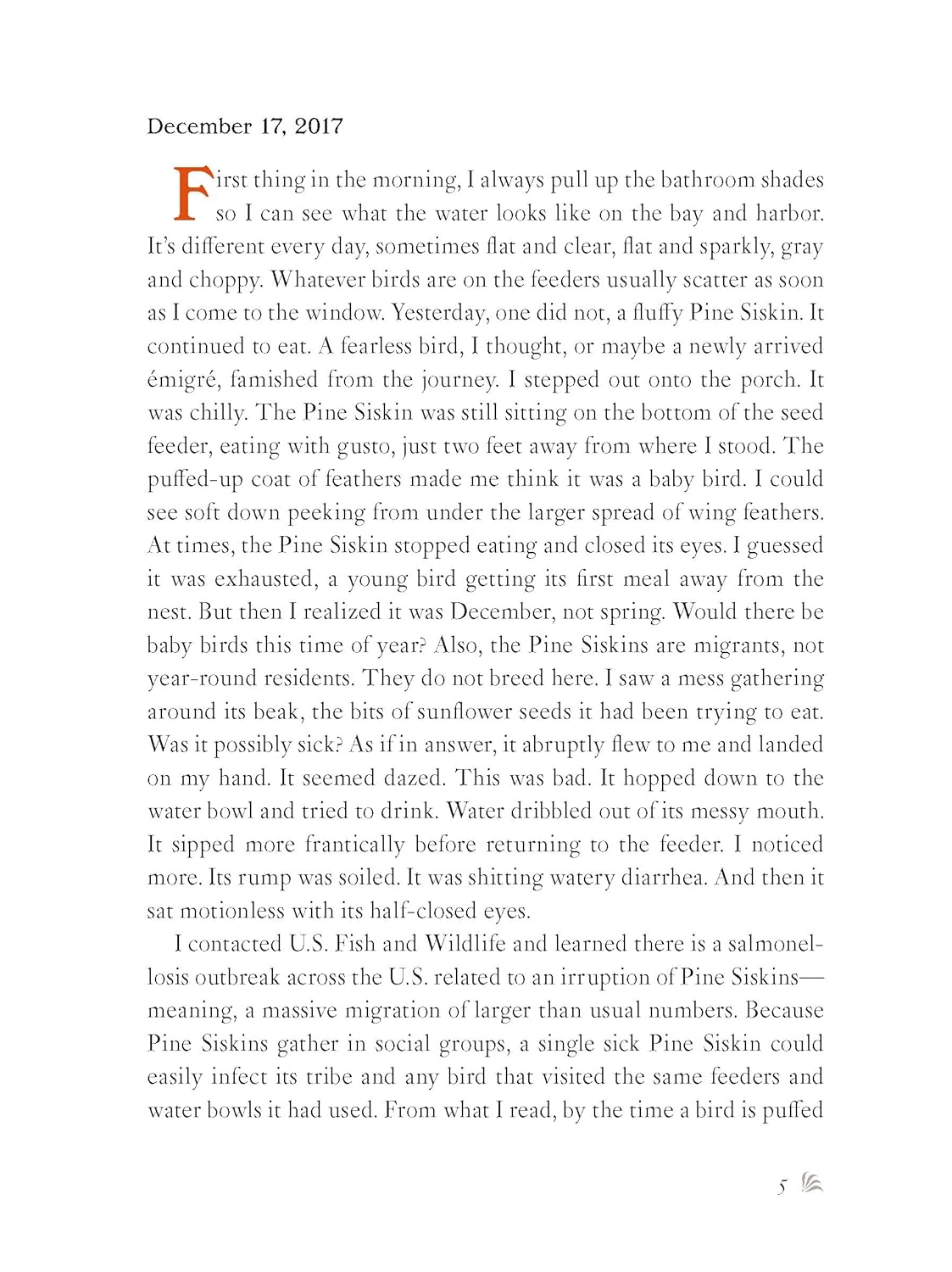 The Backyard Bird Chronicles - Image 8