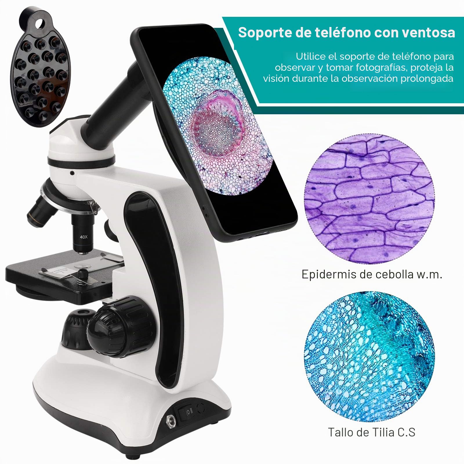 Microscopio para Niños 40X-2000X Microscopio Profesional, con Adaptador de Teléfono, Juego de Portaobjetos de Microscopio para Laboratorio Escolar, Hogar, Investigación Científica Biológica
