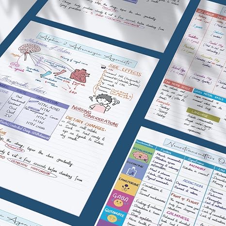 Nursing Success Bundle: 400+ Page Handwritten Notes, Designed to Ace Nursing School, Concise & Comprehensive