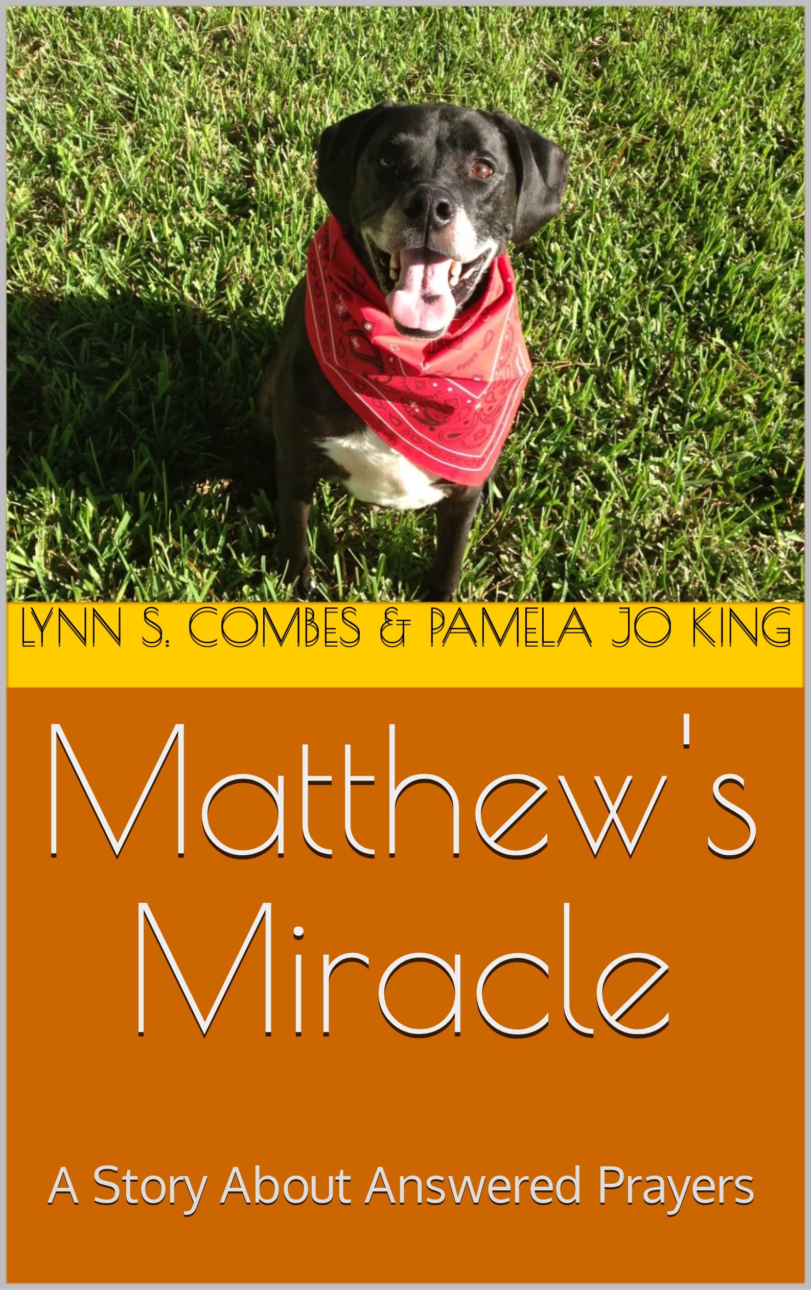 Matthew's Miracle