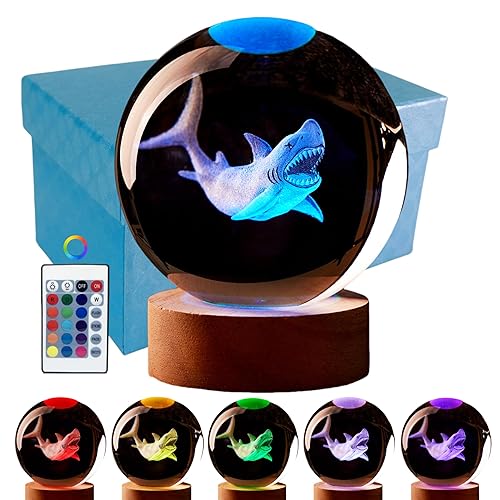Large Shark Crystal Ball Night Light with Woodern Base, 3D