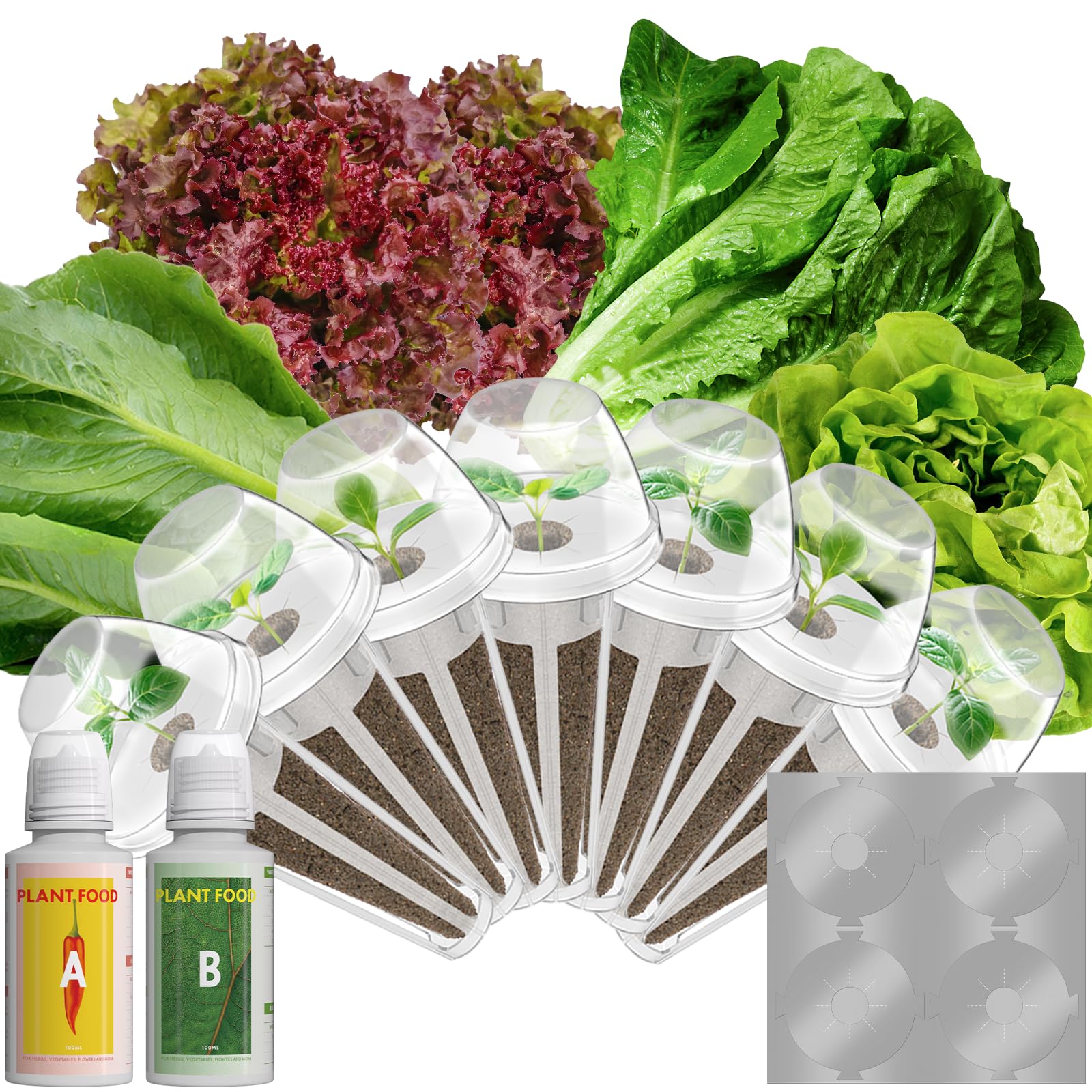 LYKOCLEAN Red Romaine Lettuce Seed Pods