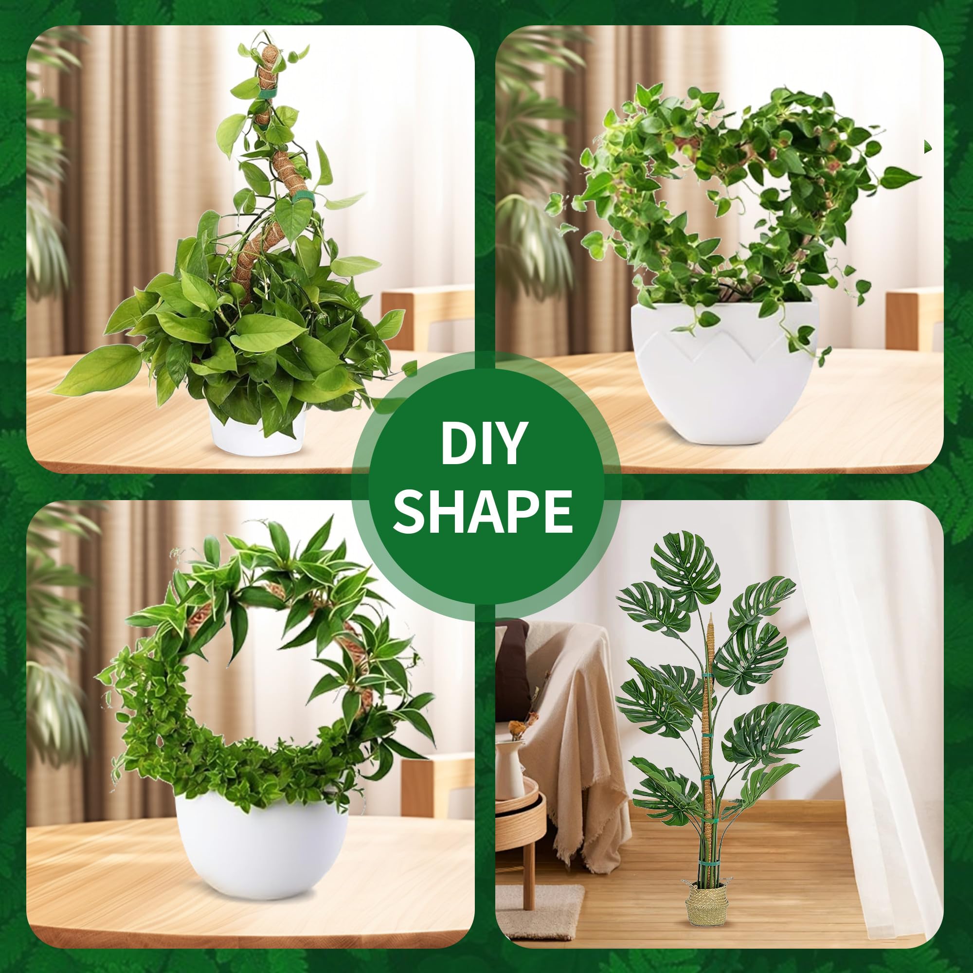 Moosstab, 120 cm Moosstab fr Monstera, Rankhilfe Monstera, Pflanzensttze,  Rankhilfe Zimmerpflanzen, Pflanzenstab, Moss Pole mit Zubehr, Kokosstab  Monstera, fr Kletterpflanzen im Innenbereich : Amazon.de: Garten