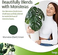 Vista 5 de Estacas apilables de soporte para plantas Monstera, soporte de escalada para uso en interiores y exteriores, accesorios para plantas, alternativa