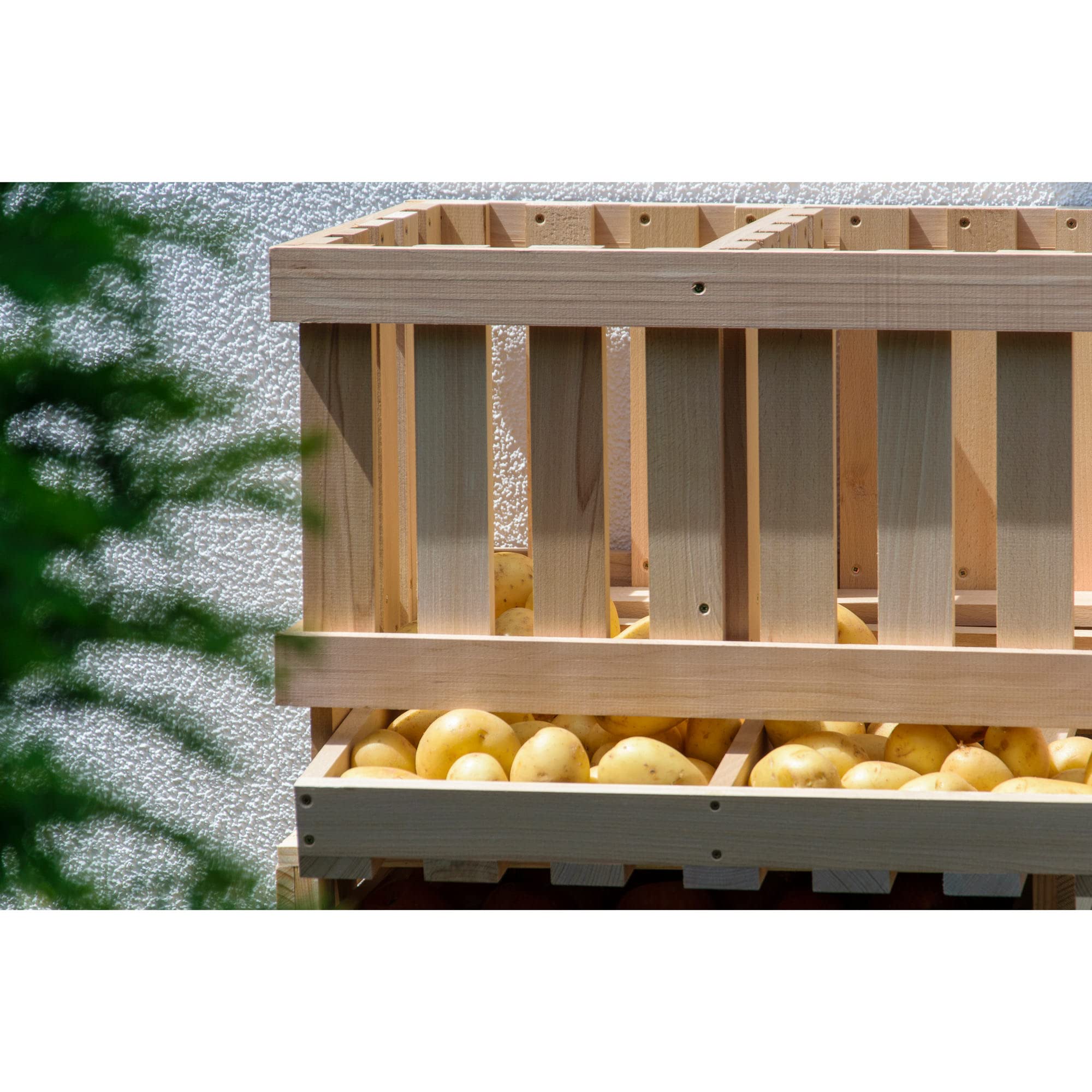 dobar® green label 29023FSCe Premium Kartoffelkiste | Kartoffelhorde mit 2 Abteilen| Obstkiste aus Massivholz | Vorratskiste für Obst/Gemüse | mit Kippfach | Buchenholz | 60 x 40 x 40 cm | Natur