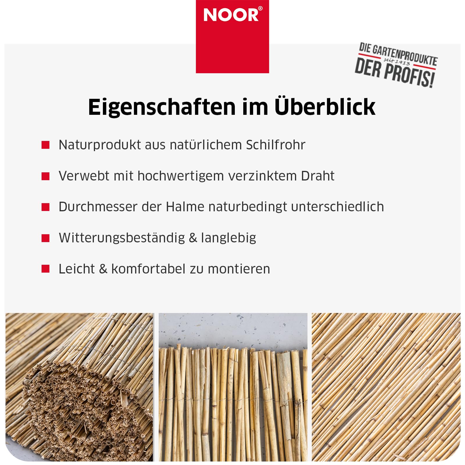 NOOR Schilfrohrmatte ST.Tropez - Premium Sichtschutzmatte - Natur 1,2x3,0 m | Hochwertiger Sicht- & Windschutz aus Schilfrohr für Garten, Terrasse & Balkon - Zaunblende verwebt mit verzinktem Draht