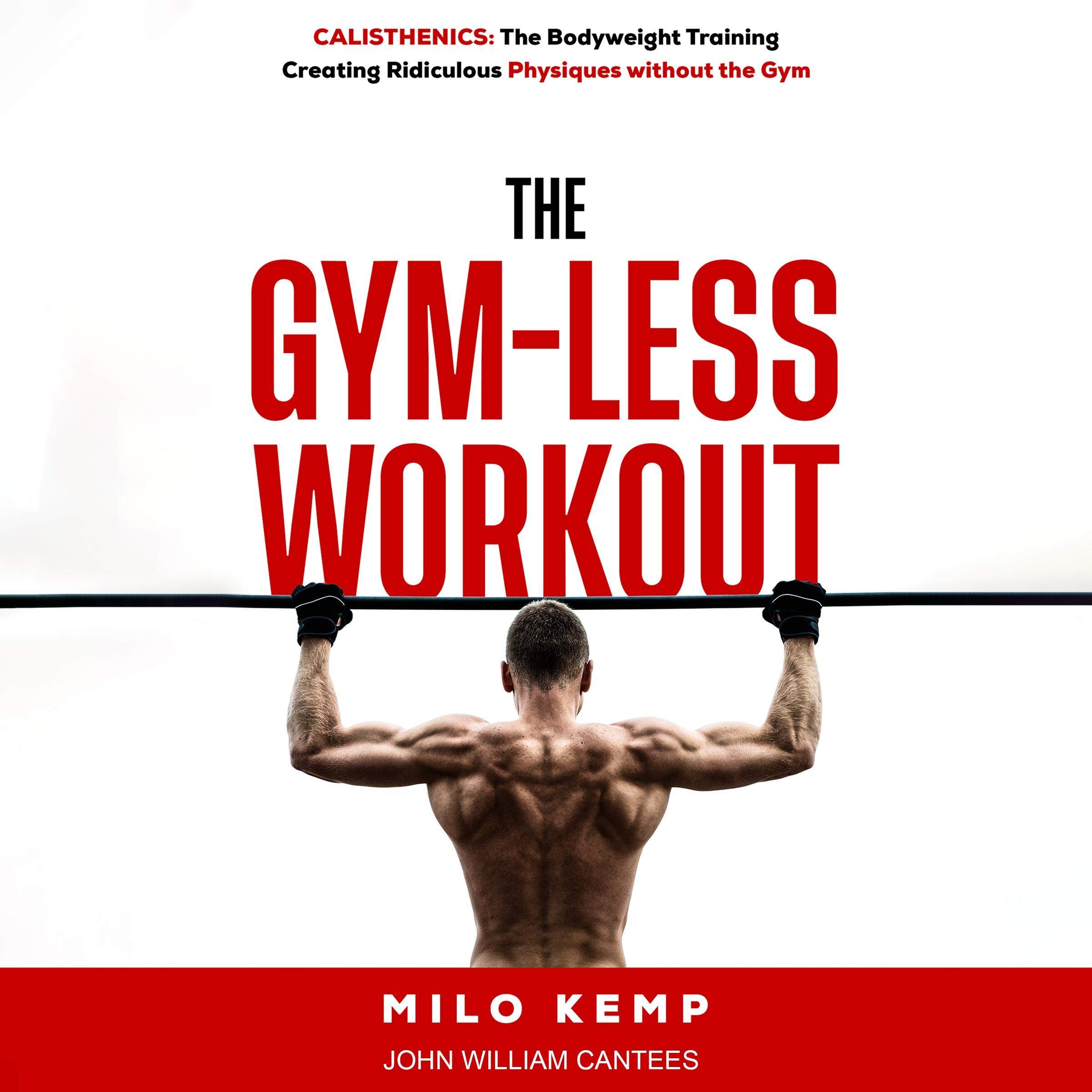 Cover art for The Gym-Less Workout