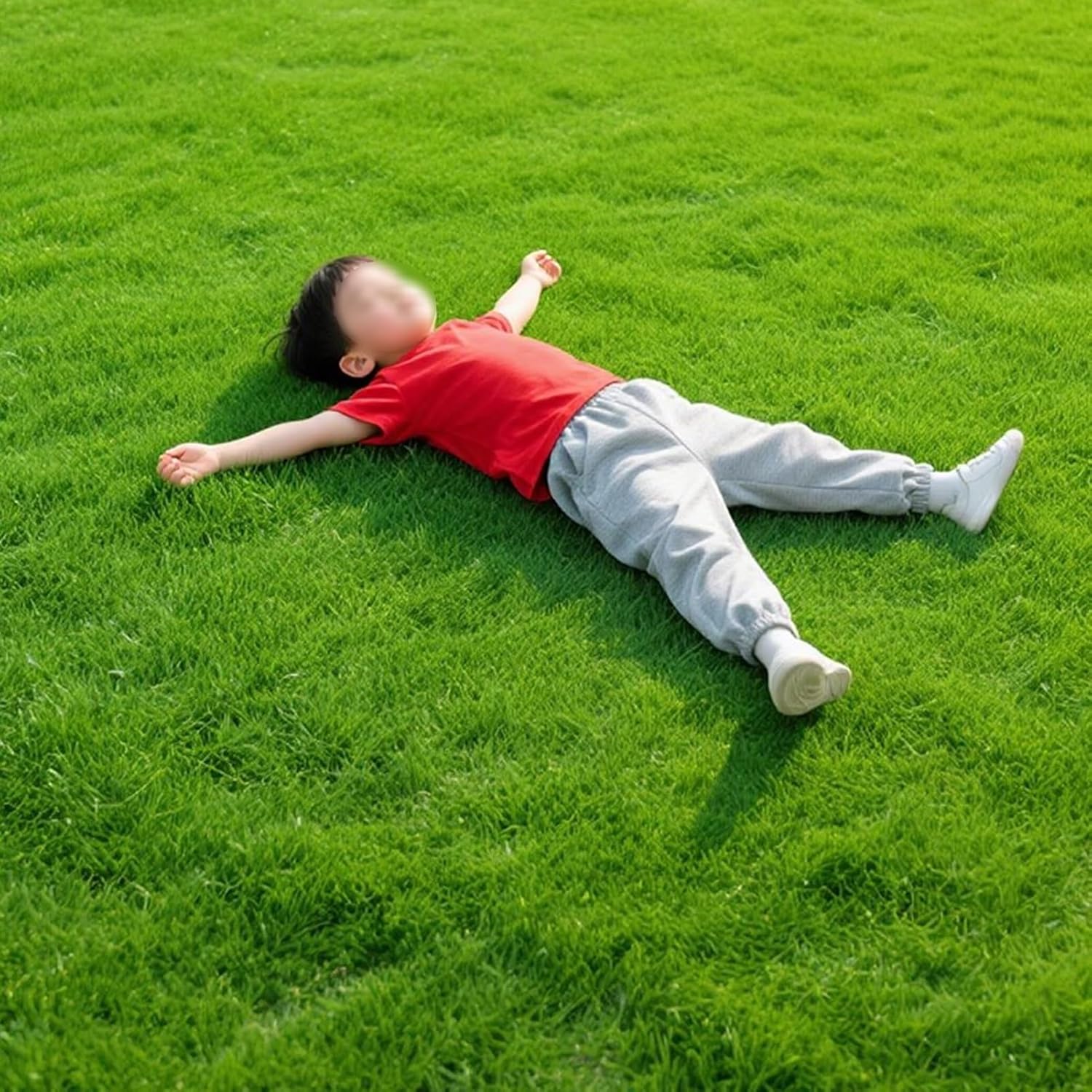 Yamaziot Artificial Grass Rug 3.3x5 Ft Realistic Indoor Outdoor Rug for  Dogs with Drain Holes, Fake Grass Dog Pet Turf Mat for Garden Lawn  Landscape Patios : Amazon.in: Garden & Outdoors Artificial Grass Turf Lawn Realistic Indoor Outdoor Garden Carpet