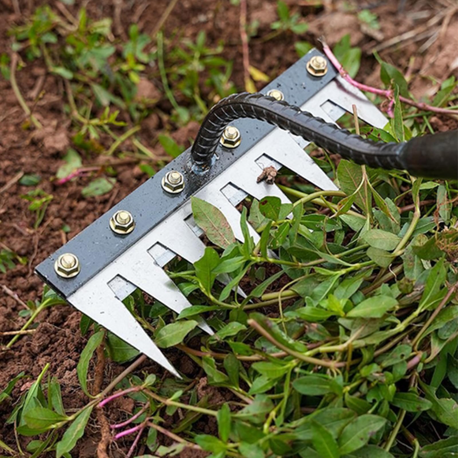 Estrattore di Erbacce 8 Denti Estirpatore Manuale Strumento per Diserbo da Giardino