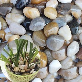 QPEY 3 lb Multicolor River Rocks - Polished Pebbles for Succulents, Bonsai Gardens, Aquariums & Landscaping (20-30mm)