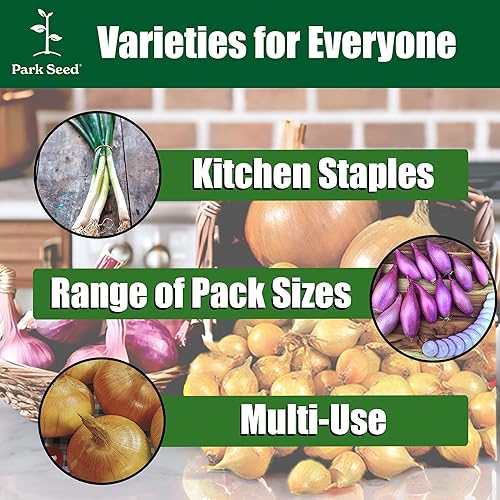 Miniatura 6 de Park Seed Organic Parade Semillas de cebolleta  Cebollas verdes de alto rendimiento, tallos crujientes de 12 a 16 pulgadas, resistentes a los