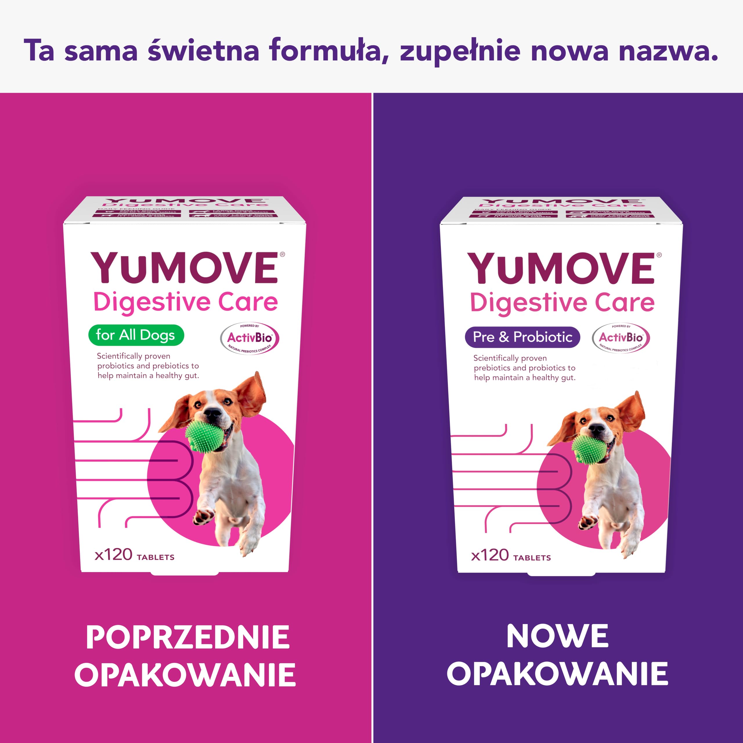 Yumove Pre- I Probiotyk Dla Psów ActivBio - 120 Tabletek Na Jelita | Patent W Toku, 200 M Cultures E. Faecium, Beta-Glukany, Równowaga Flory Jelitowej, Poparte Nauką, Polecane Przez Weterynarzy