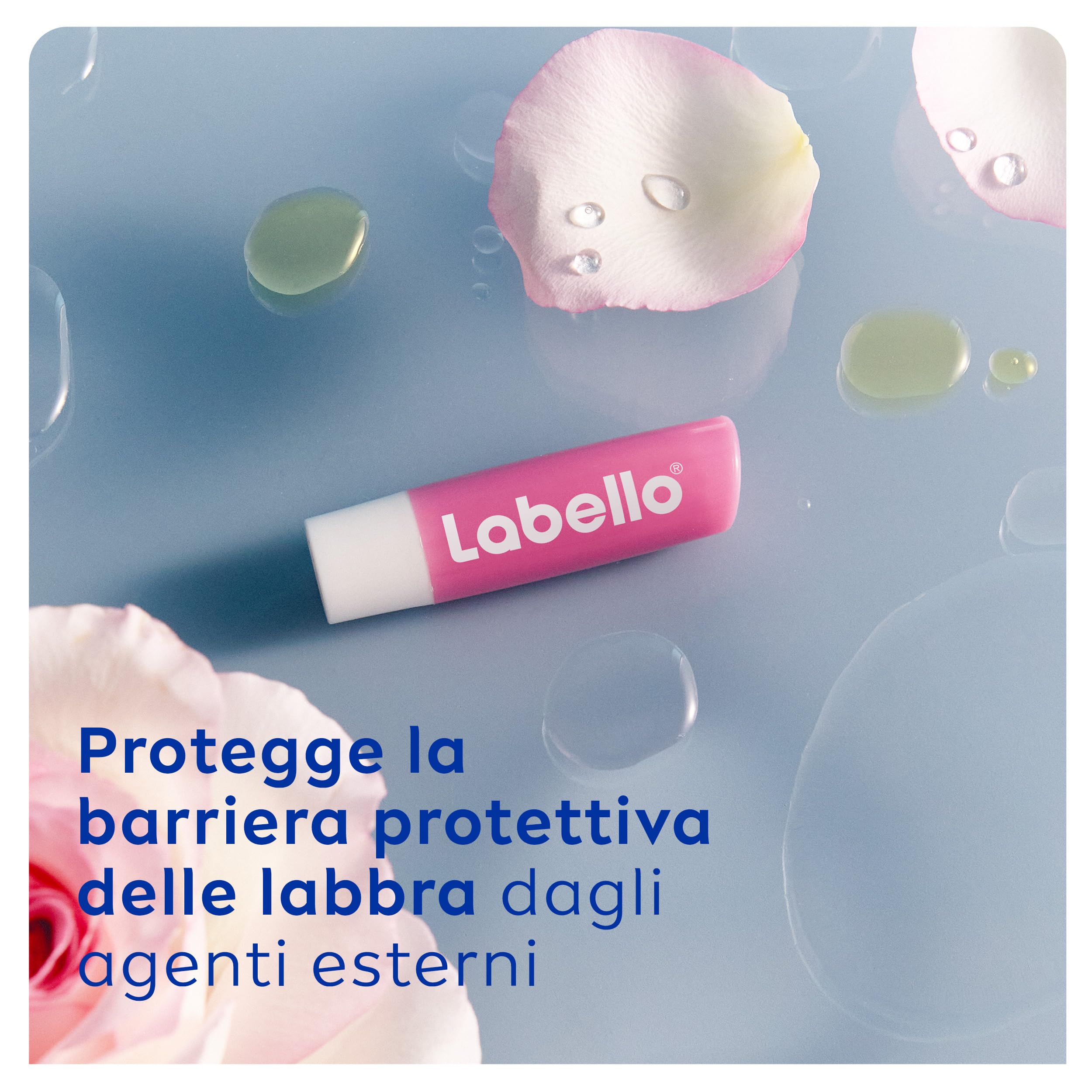 Labello Soft Rosé 4.8 g, Balsamo labbra colorato con estratto di rosa, Burrocacao labbra fondente con oli naturali e burro di karité, Lip balm idratante per 24 ore con pigmenti colorati