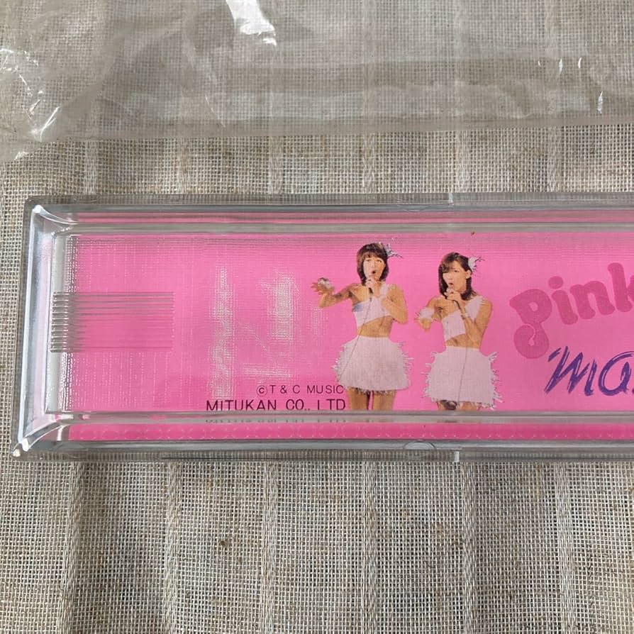 レア‼️貴重 昭和 ピンク・レディー 筆箱 11個セット レア‼️貴重 昭和 ピンク・レディー 筆箱 11個セット レア