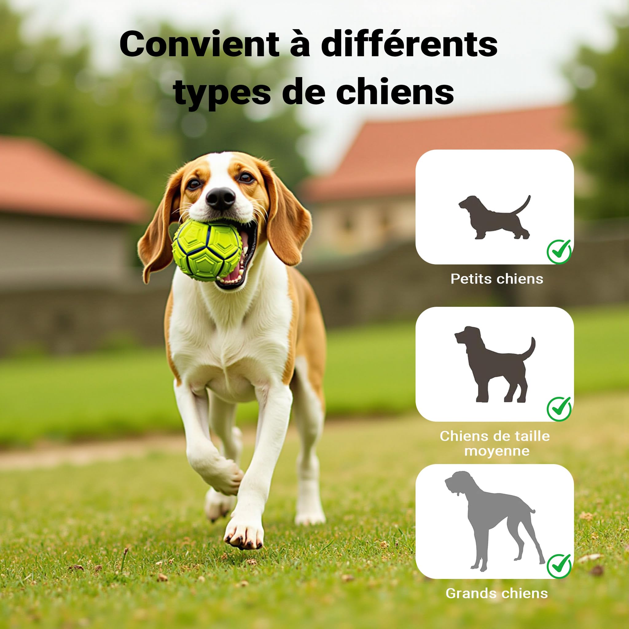 Wiltec Rampe pour Chien 155 x 40 cm, 90 kg, Pliable, Surface antidérapante à Picots, Rampe antidérapante pour Chiens, Aide à l'accès Pliable en PP pour Voiture, SUV et Pick-up