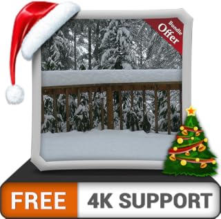 floresta de queda de neve grátis HD - decore seu quarto com belas paisagens na sua TV HDR 4K, TV 8K e dispositivos de fogo como papel de parede, decoração para as férias de Natal, tema para mediação e