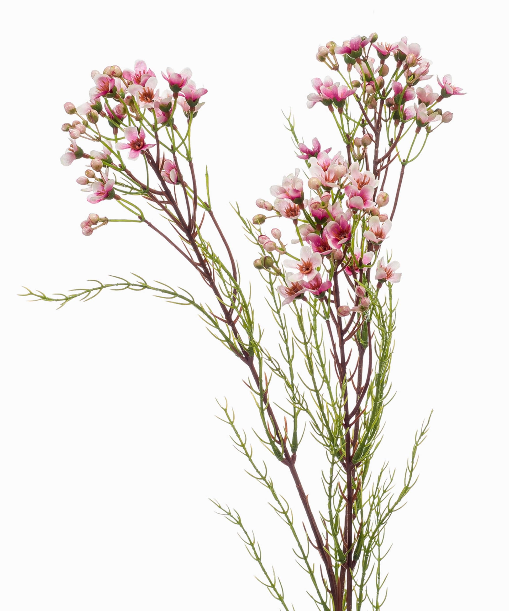 artplants.de Fake wax flower MEDEA, light pink, 31"/80cm - Artificial flower/Fake flower