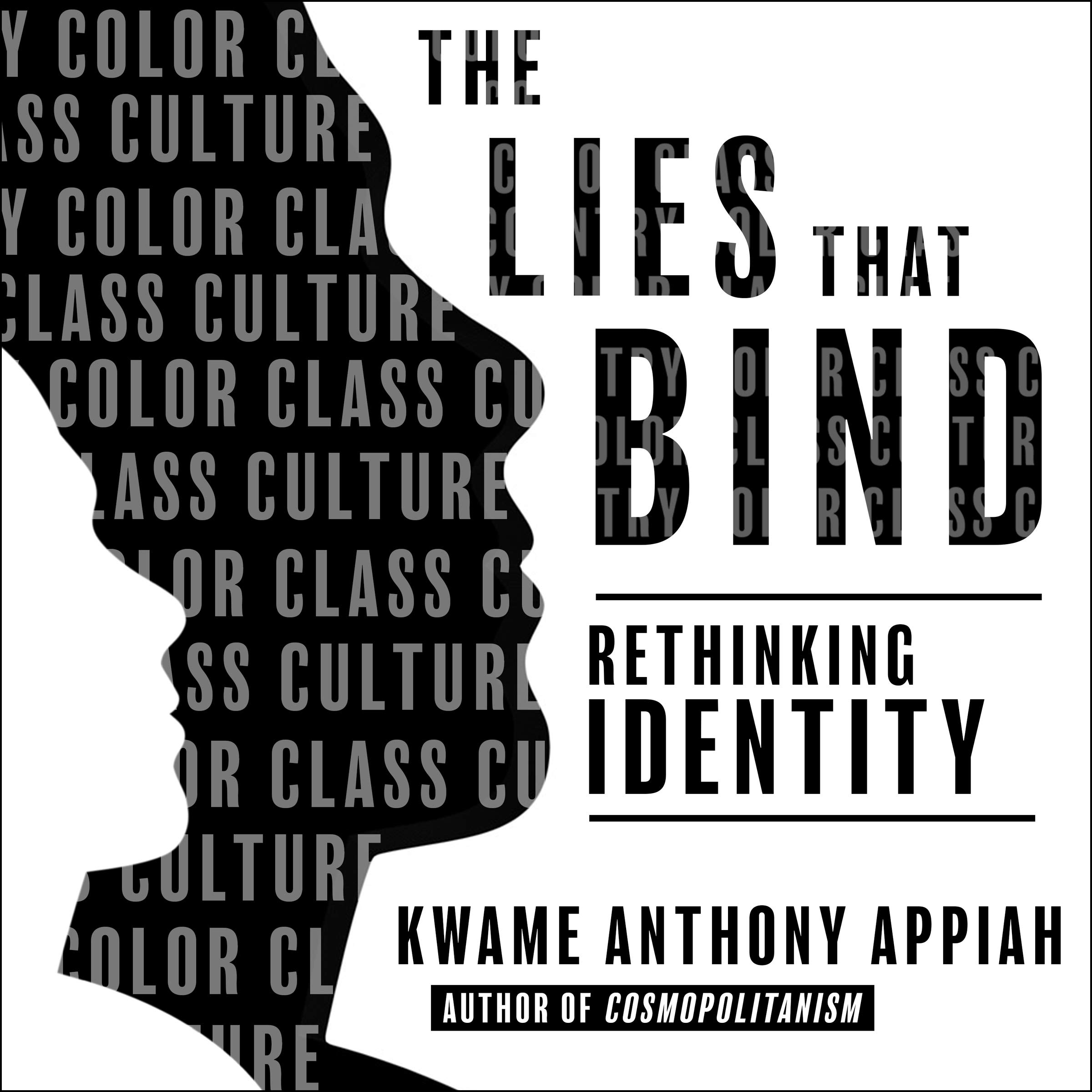 Cover art for The Lies That Bind