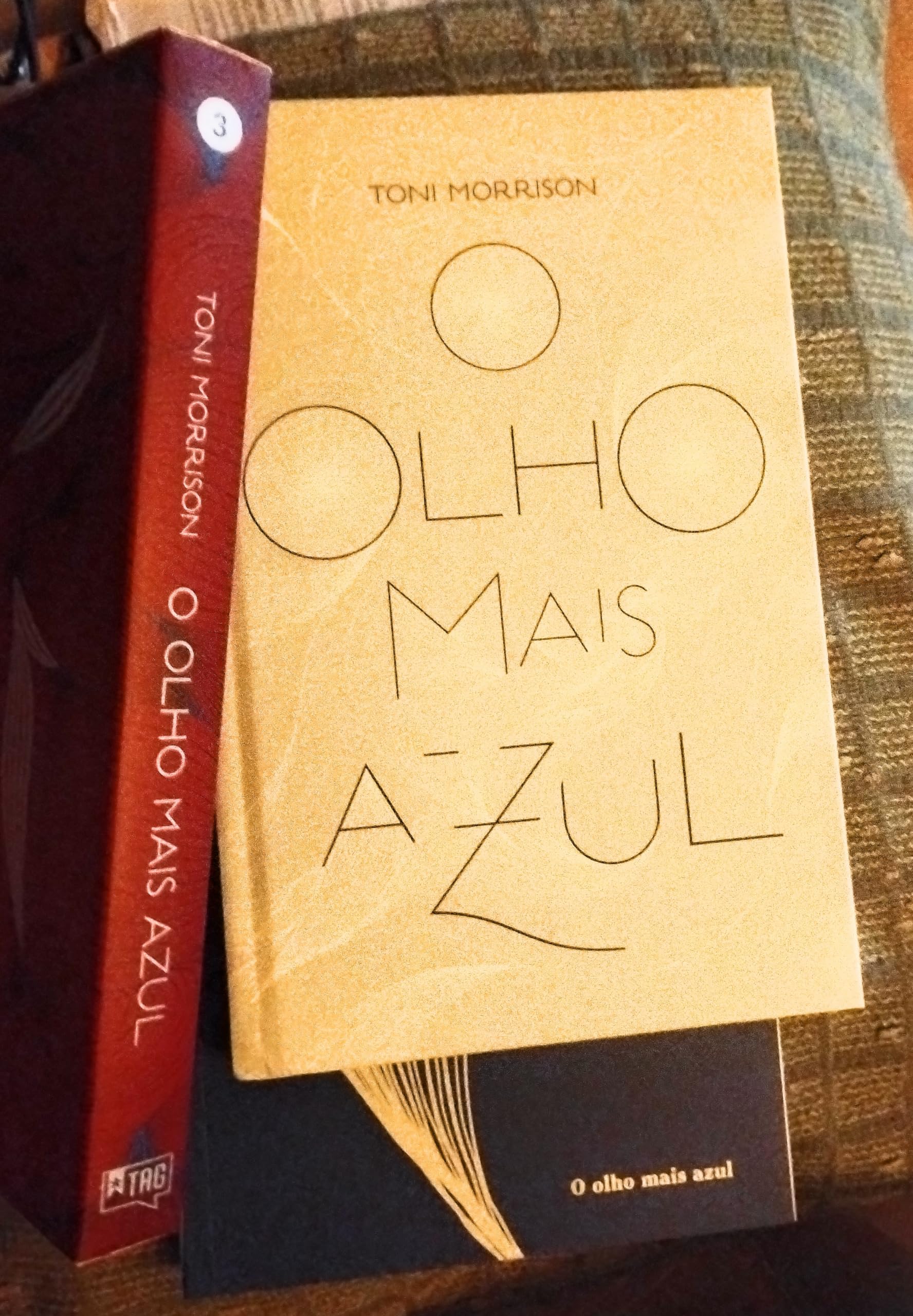 Amazon.com.br: Toni Morrison: livros, biografia, última atualização