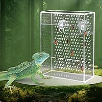 Neeenn Bearded Dragon Feeder - Transparent Acrylic Chameleon Bug Bowl, Wall-Mounted Reptile Insect Dish with Suction Cups for Lizards, Geckos, Frogs