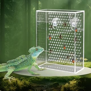 Neeenn Bearded Dragon Feeder - Transparent Acrylic Chameleon Bug Bowl, Wall-Mounted Reptile Insect Dish with Suction Cups for Lizards, Geckos, Frogs