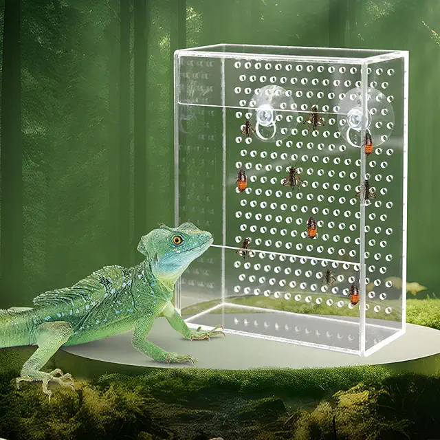 Transparente Acryl-Futterbox für Chamäleon-Terrarium mit Saugnäpfen