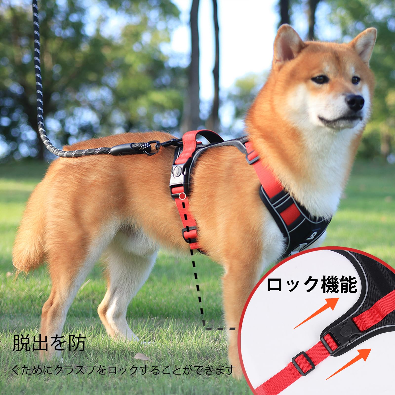 Amazon | 【柴犬に強力推薦】 XINIDEA 頑丈で耐久性に 犬用