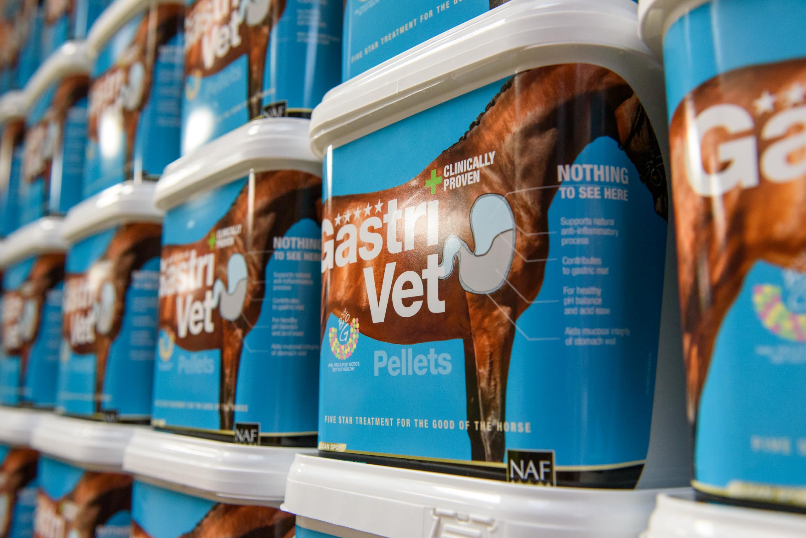 NAF Five Star GastriVet 4 kg – Fortschrittliche Magenunterstützung für Pferde – Enthält Präbiotika, Probiotika & Postbiotika – Zur Unterstützung der Magenschleimhaut & der Darmgesundheit