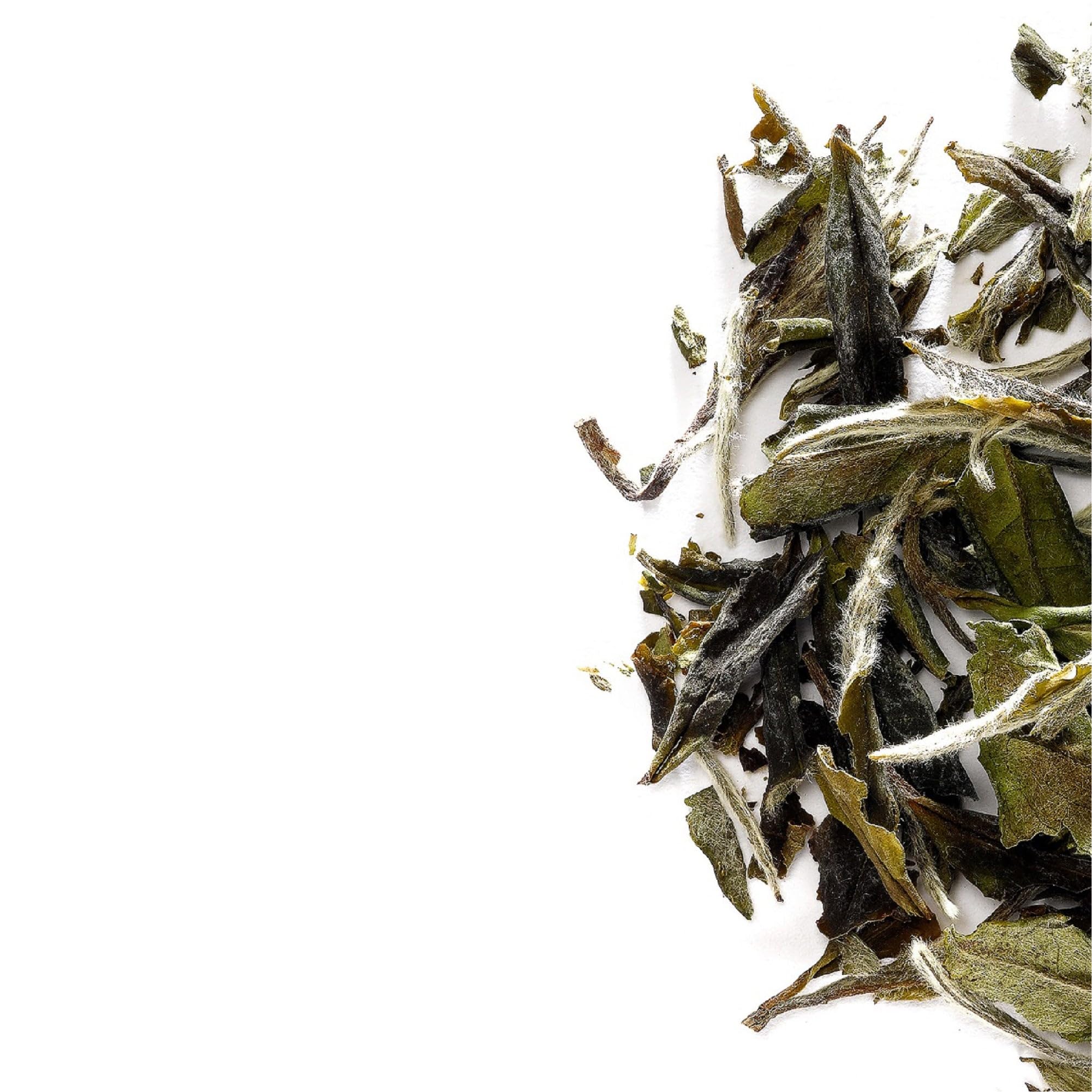 Tè Bianco Peonia Baimudan - Foglie Sfuse Pai Mu Tan Cina | gemme argentate ricoperte di lanugine bianca che regalano un infuso leggero dal sapore floreale e delicato