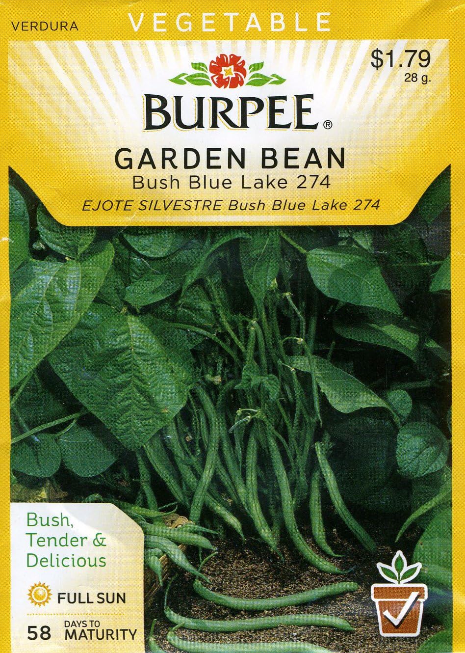 Burpee Seeds, Burpee Bean Bush Snap Blue Lake, 1 Count