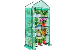 Mini Greenhouse for Patio Protects Plants in Winter