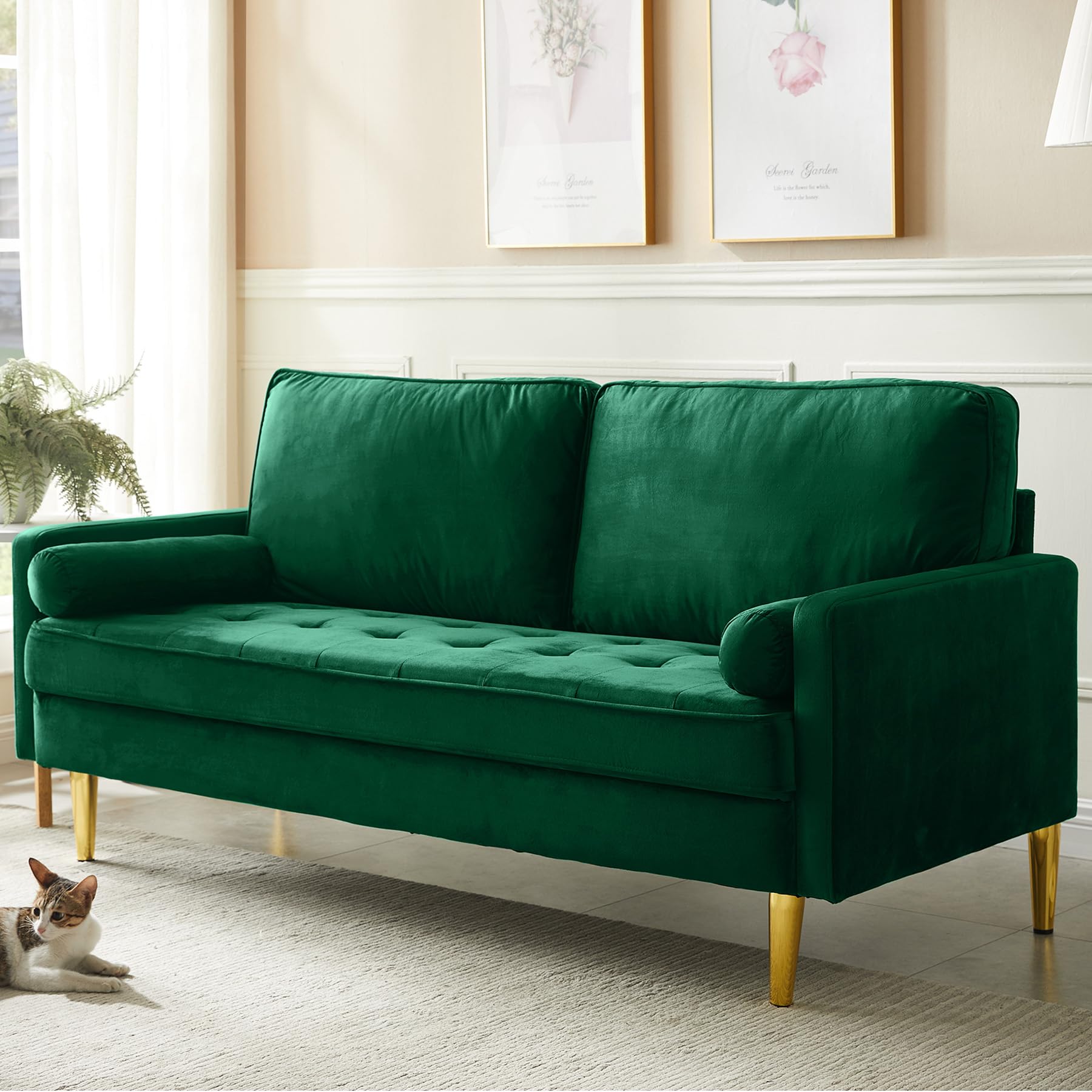 HRVEOCEI 65 Inch Green Velvet Couch, Small Loveseat Sofa & Office Sofa for Small Space, Couch for Bedroom Livingroom, 2 Pillows, Gold Legs, Tufted