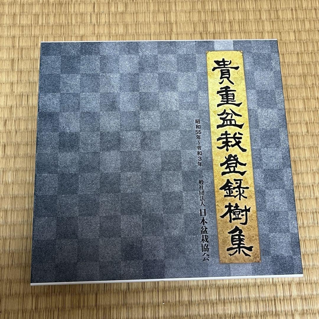 Amazon.co.jp: 貴重盆栽登録樹集 レア : おもちゃ