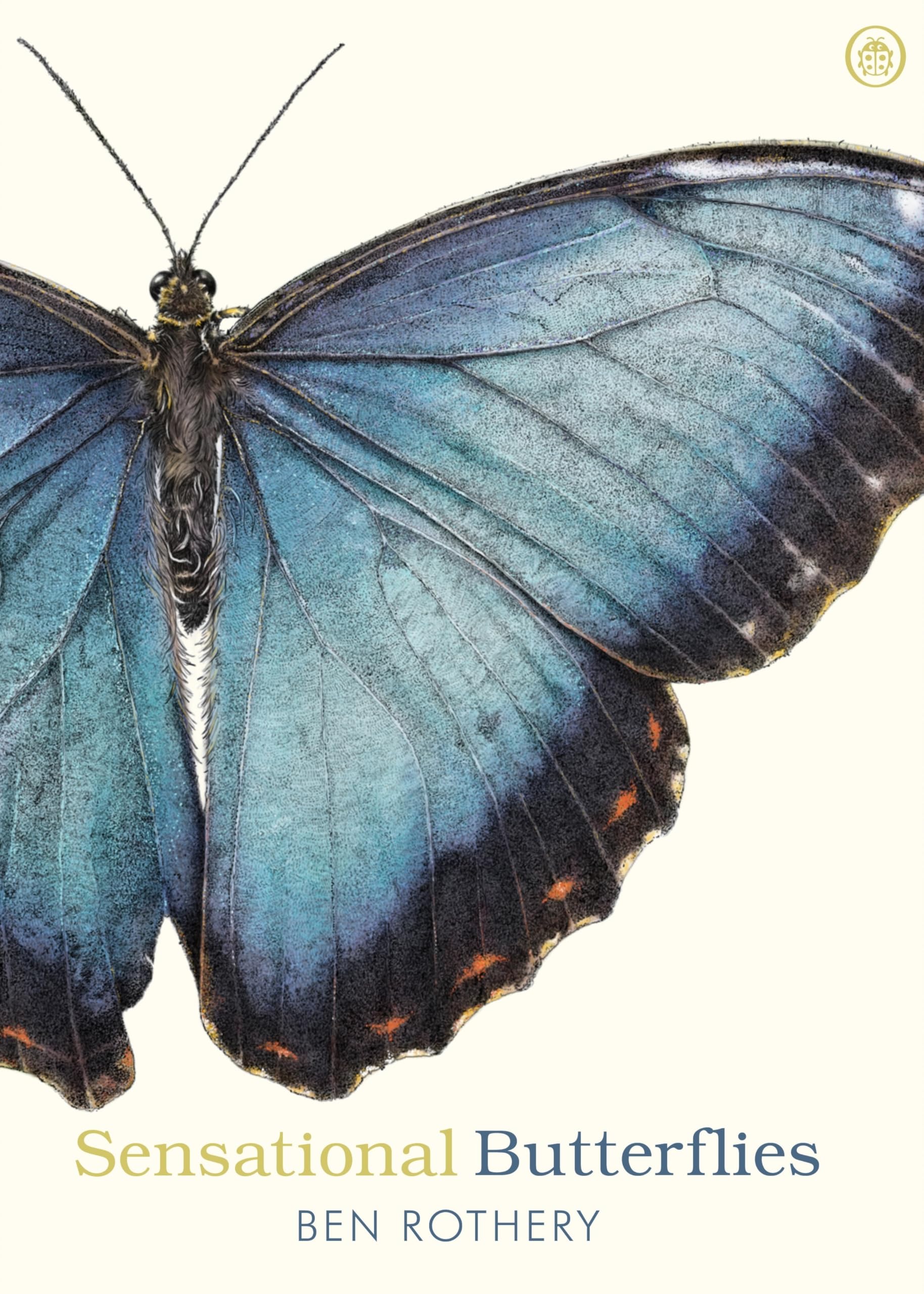 Sensational Butterflies: A journey into the enchanting and vibrant world of butterflies