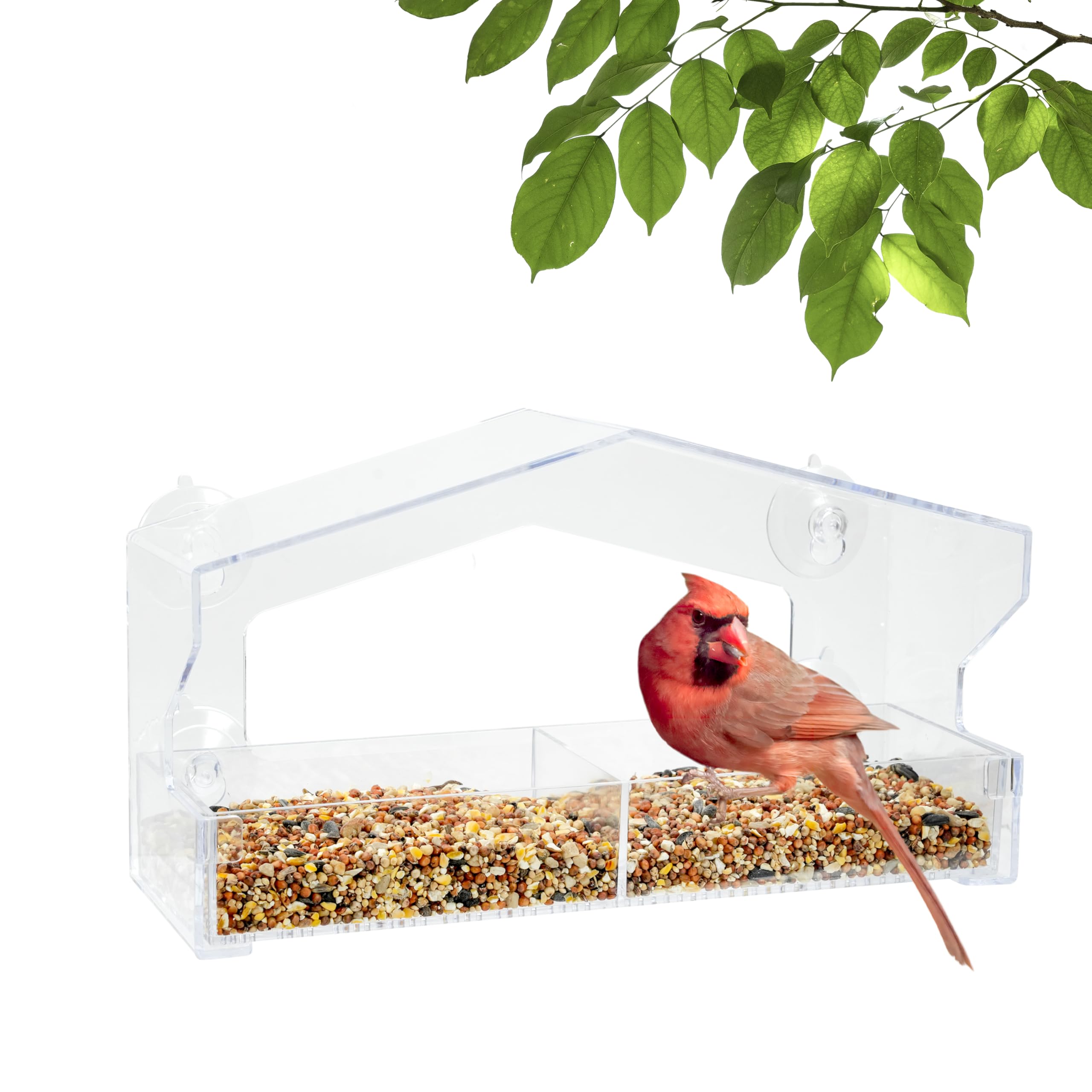Mangeoire à oiseaux fenêtre Perky-Pet 347 | Observez la nature depuis votre salon