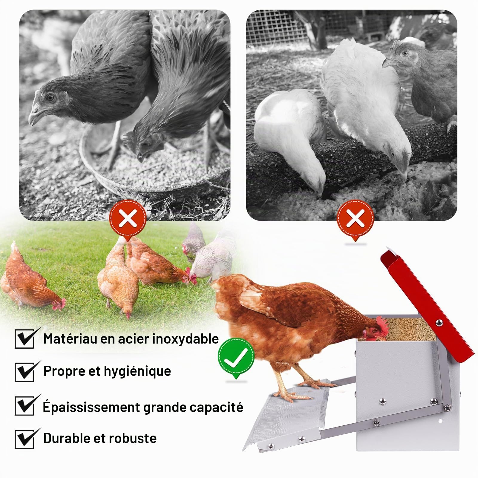 Mangeoire Poule Automatique,Mangeoire Galvanisée Pouvant Contenir 5 Kg de Nourriture,Distributeurs de Nourriture,Pour Poulets, Dindes, Oies et Canards